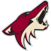 Arizona Coyotes picks 