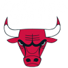 Chicago Bulls picks 